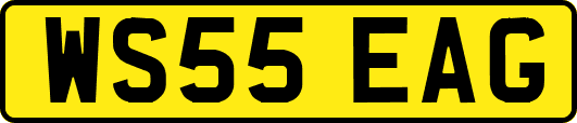 WS55EAG