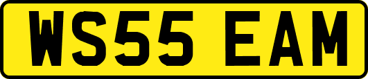 WS55EAM