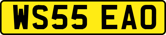 WS55EAO