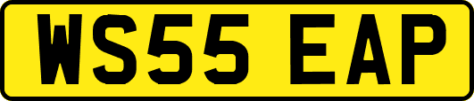 WS55EAP