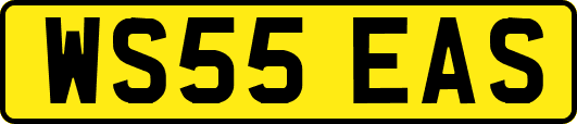 WS55EAS