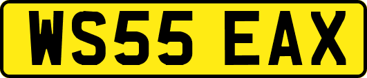 WS55EAX