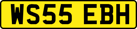 WS55EBH