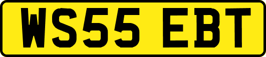 WS55EBT