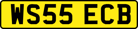 WS55ECB