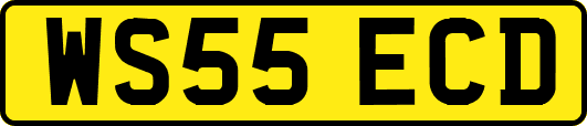 WS55ECD