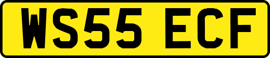 WS55ECF