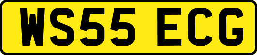 WS55ECG