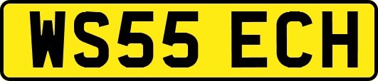WS55ECH