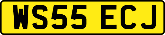 WS55ECJ