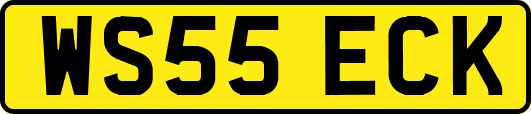 WS55ECK