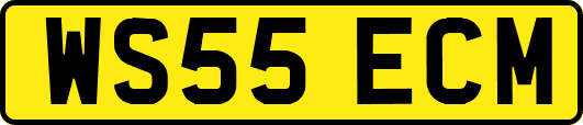 WS55ECM