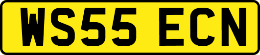 WS55ECN