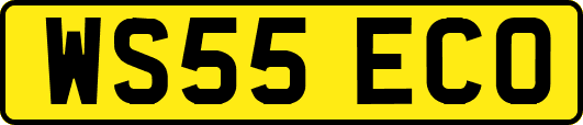 WS55ECO
