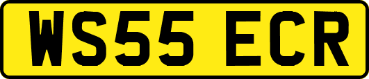 WS55ECR