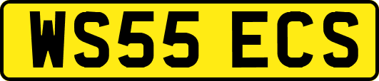 WS55ECS