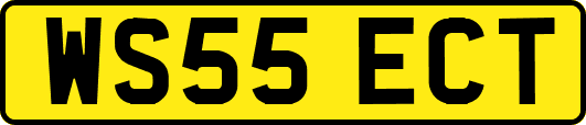 WS55ECT