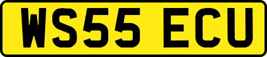 WS55ECU