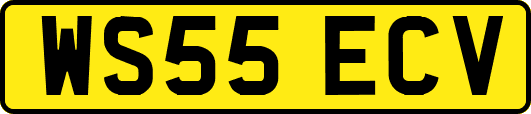 WS55ECV