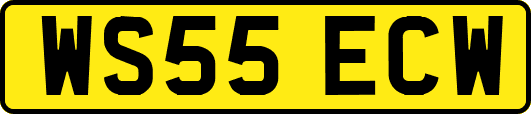 WS55ECW