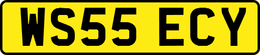 WS55ECY