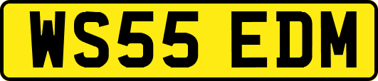 WS55EDM