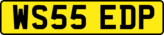 WS55EDP