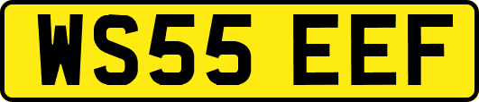 WS55EEF