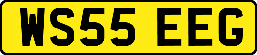 WS55EEG