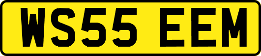 WS55EEM
