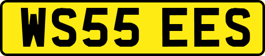WS55EES