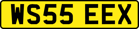 WS55EEX