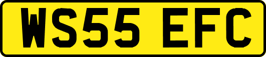 WS55EFC