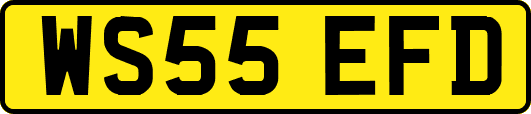 WS55EFD