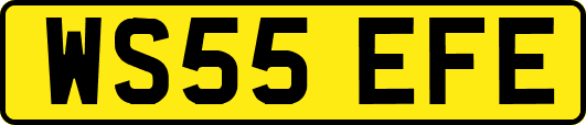 WS55EFE