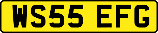WS55EFG