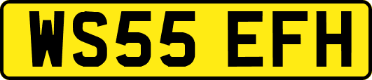WS55EFH