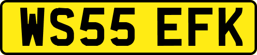 WS55EFK