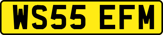 WS55EFM