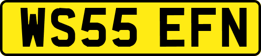 WS55EFN