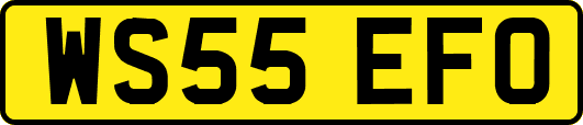 WS55EFO