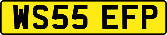 WS55EFP