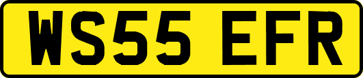 WS55EFR