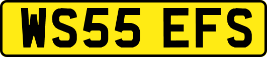 WS55EFS