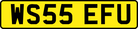 WS55EFU