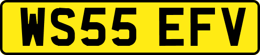 WS55EFV