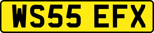 WS55EFX