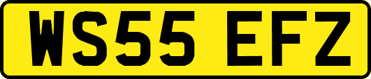 WS55EFZ