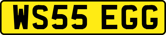 WS55EGG