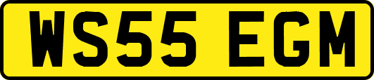 WS55EGM